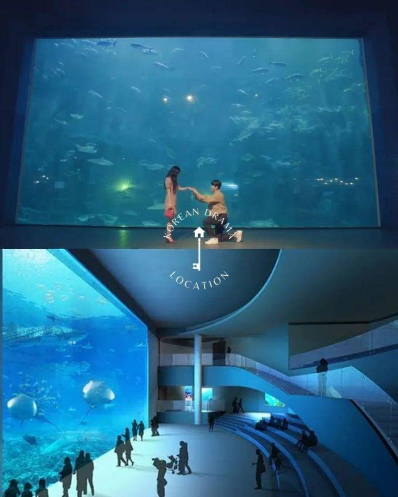 Instagram.com/kdramalocation